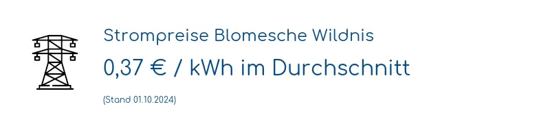 Strompreis in Blomesche Wildnis